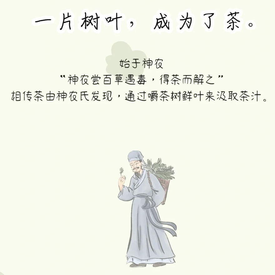 中国茶文化起源与发展史